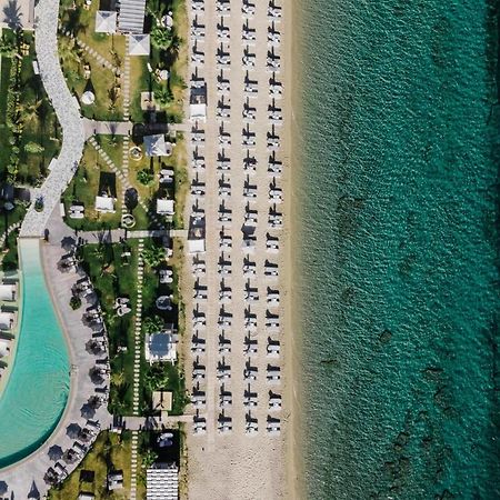 Blue Carpet Luxury Suites Pefkochori Exterior photo